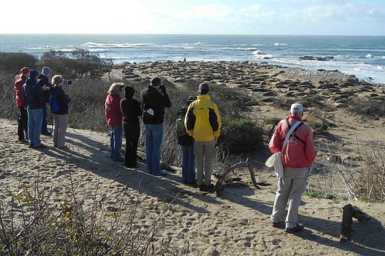 Tour image 7